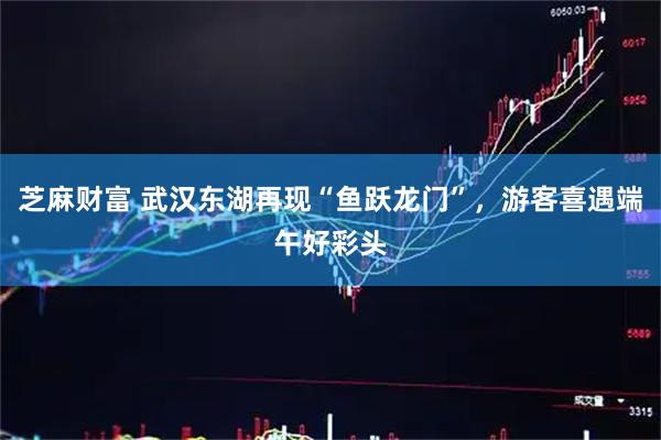 芝麻财富 武汉东湖再现“鱼跃龙门”，游客喜遇端午好彩头